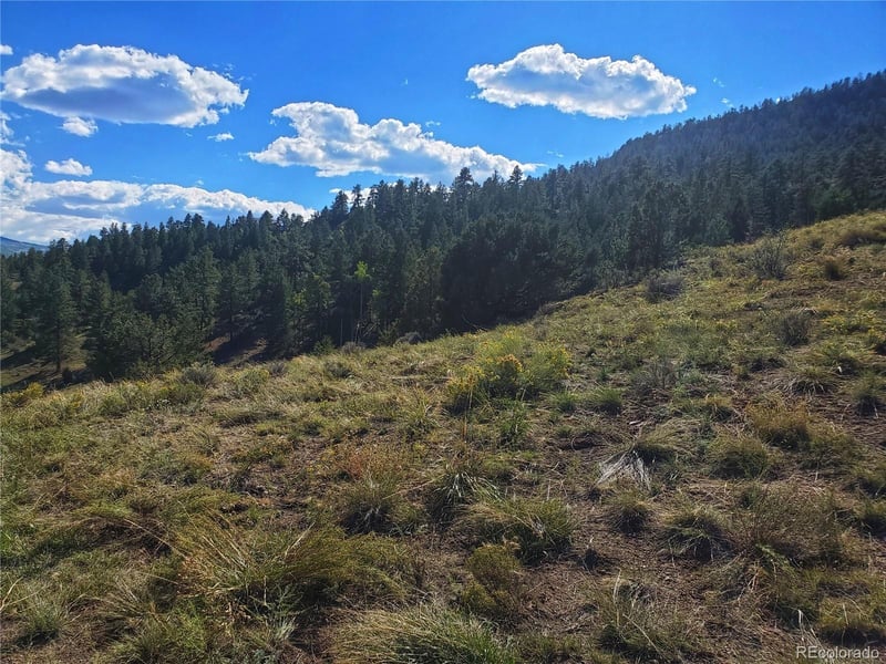 120 Fairway Ridge Ln Lot 41, South Fork, CO 81154