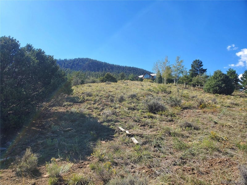 120 Fairway Ridge Ln Lot 41, South Fork, CO 81154