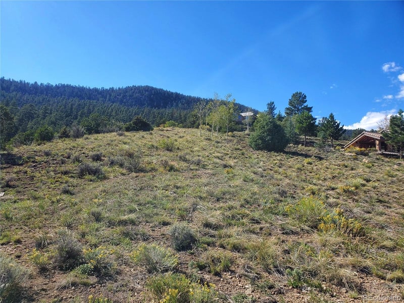 120 Fairway Ridge Ln Lot 41, South Fork, CO 81154