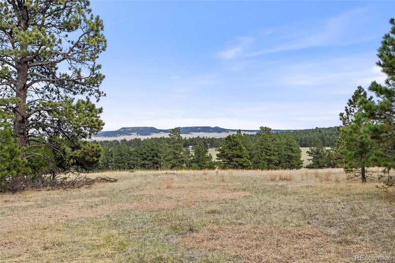 8653 Teacup Rd, Elbert, CO 80106