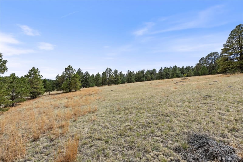8653 Teacup Rd, Elbert, CO 80106