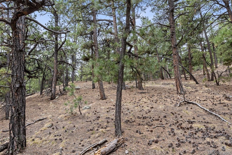 8653 Teacup Rd, Elbert, CO 80106