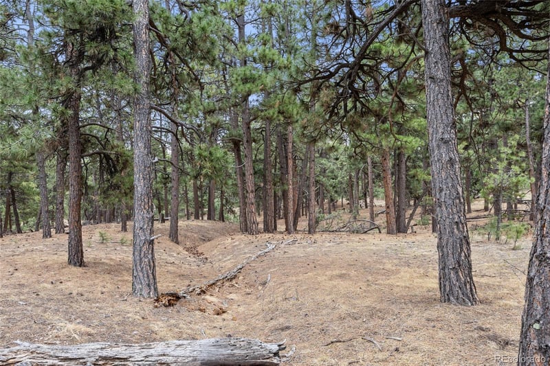 8653 Teacup Rd, Elbert, CO 80106