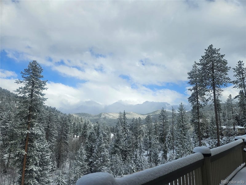 7291 Brook Forest Dr, Evergreen, CO 80439
