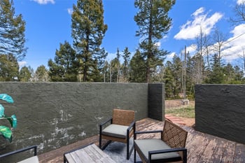 776 Jolly Rogue Dr, Divide, CO 80814