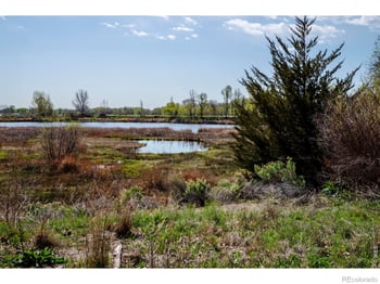 7800 Hygiene Rd, Longmont, CO 80503