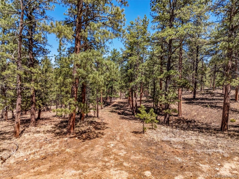 185 Sioux Trl, Westcliffe, CO 81252