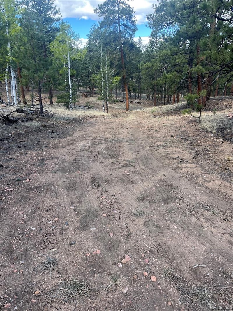 185 Sioux Trl, Westcliffe, CO 81252