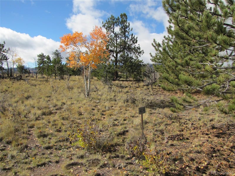 206 Bandolier Ct, Hartsel, CO 80449
