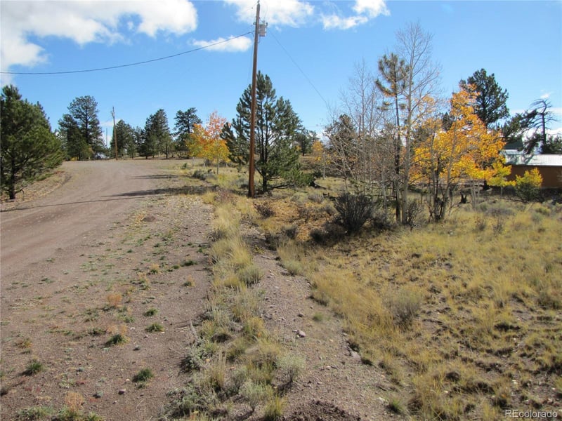206 Bandolier Ct, Hartsel, CO 80449