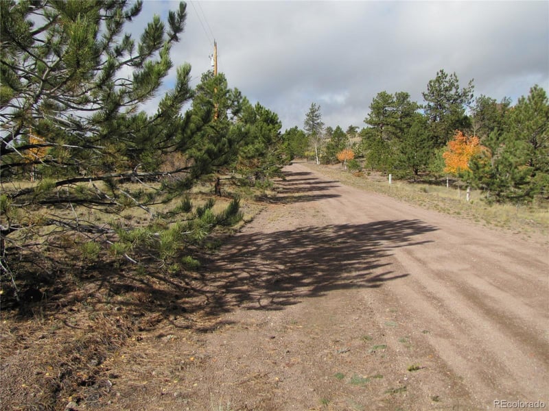 206 Bandolier Ct, Hartsel, CO 80449