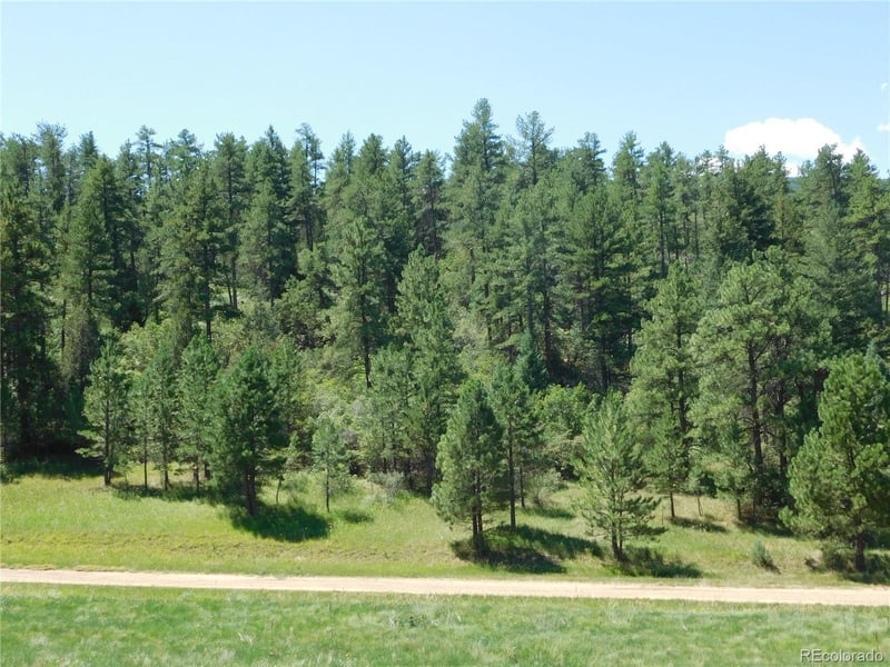 4668 Comanche Dr, Larkspur, CO 80118