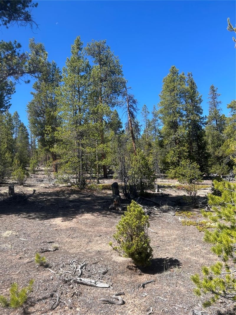 266 Ponderosa Dr, Leadville, CO 80461