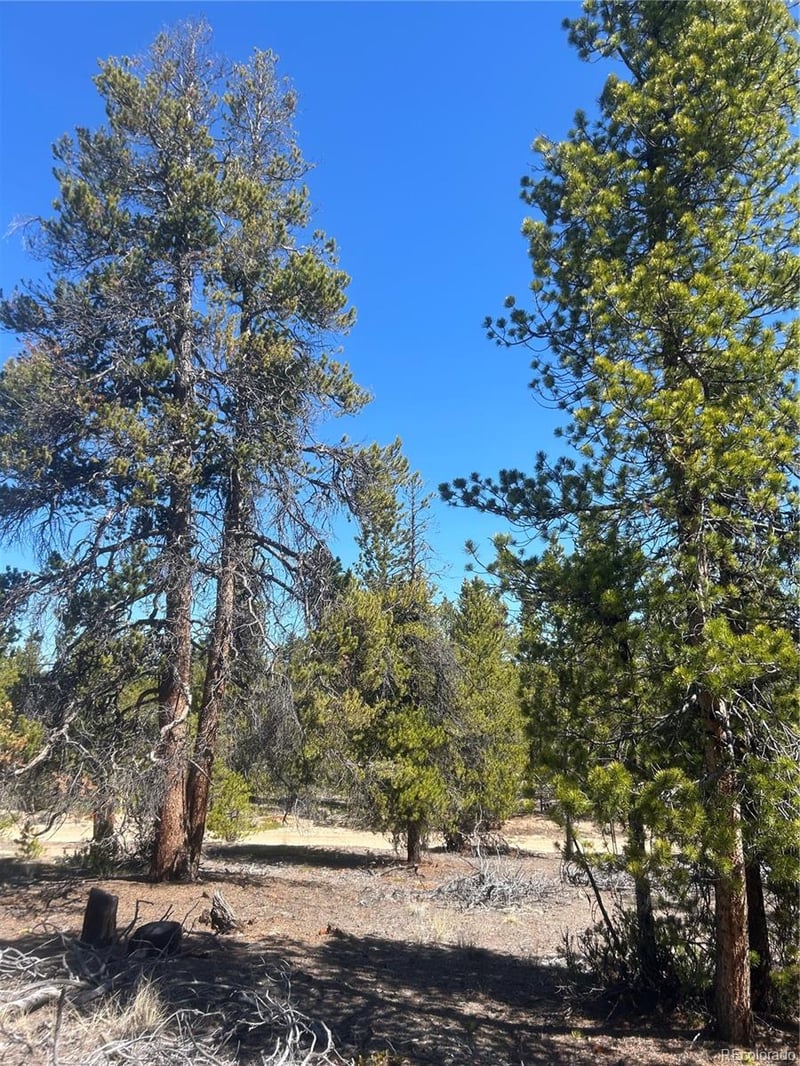 266 Ponderosa Dr, Leadville, CO 80461