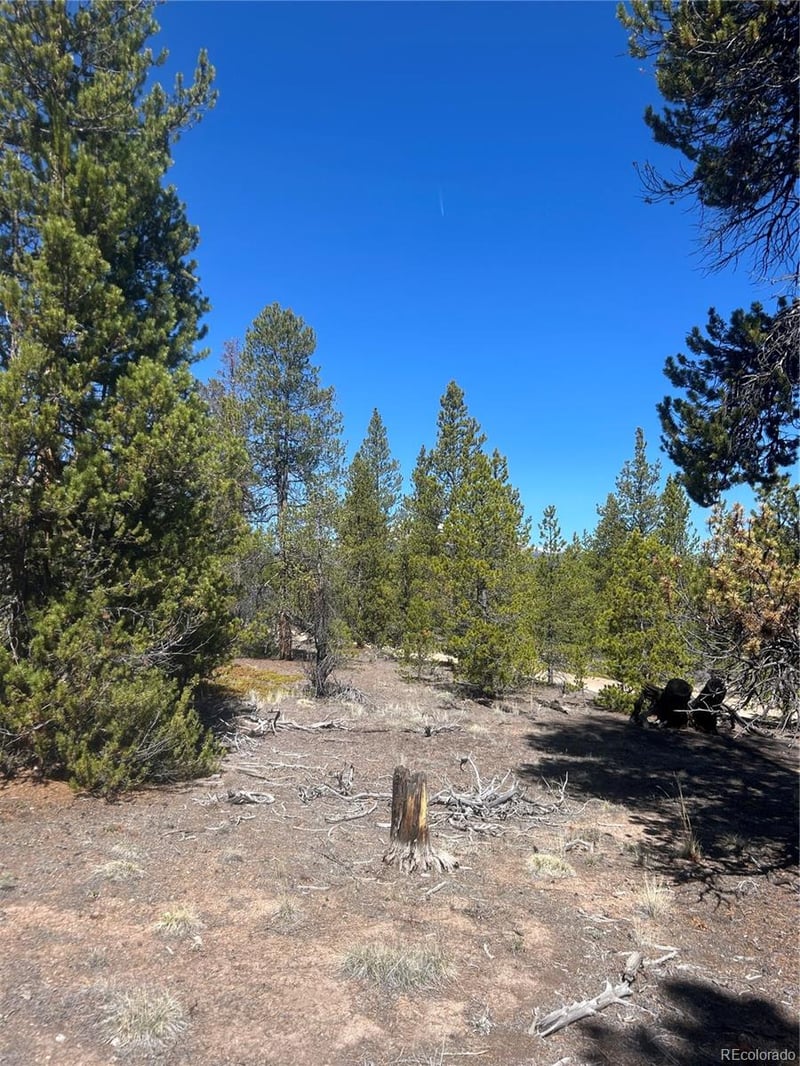266 Ponderosa Dr, Leadville, CO 80461