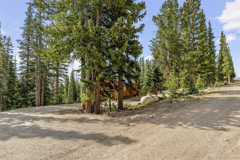 238 Prunes Pl, Fairplay, CO 80440