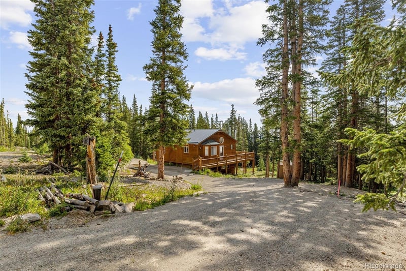 238 Prunes Pl, Fairplay, CO 80440