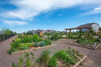19742 W 95th Pl, Arvada, CO 80007
