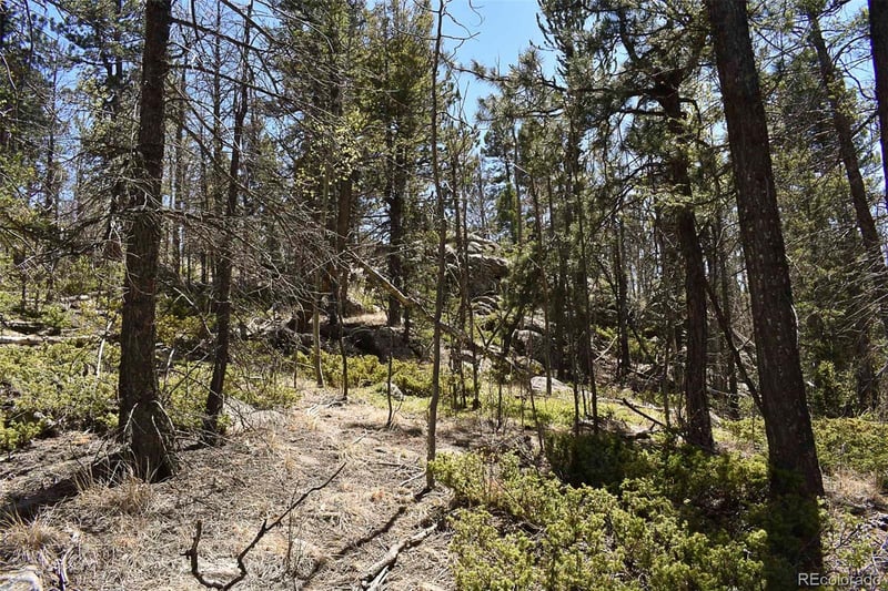 289 Timberline Dr, Guffey, CO 80820