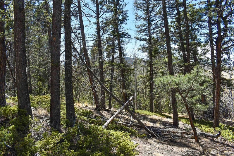 289 Timberline Dr, Guffey, CO 80820