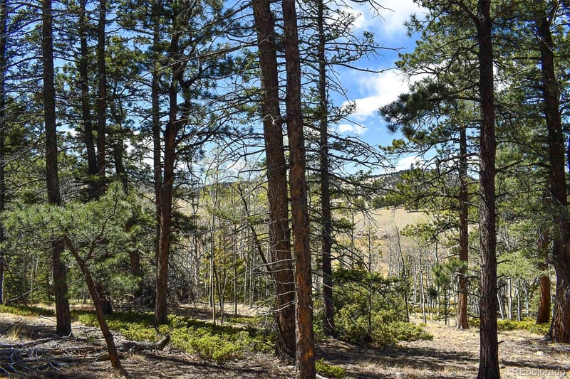 289 Timberline Dr, Guffey, CO 80820