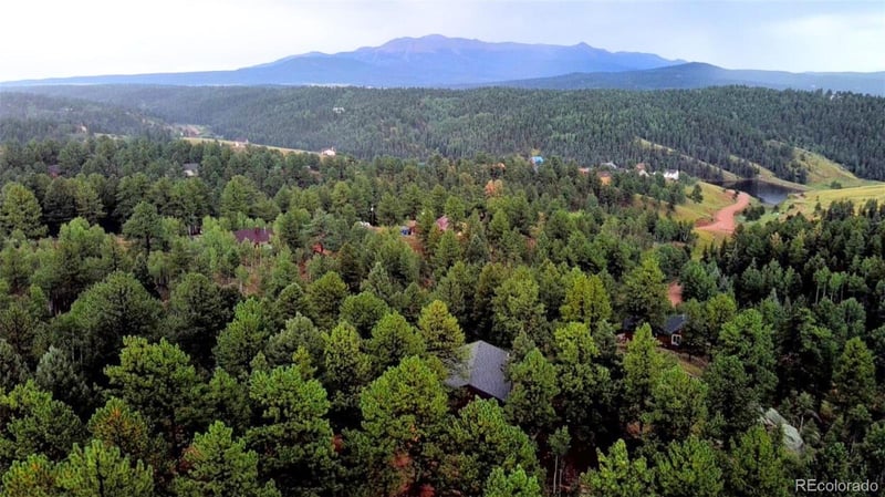 131 Lost Lake Cir, Divide, CO 80814