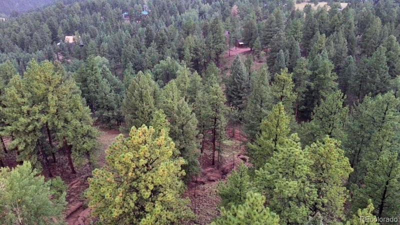 131 Lost Lake Cir, Divide, CO 80814