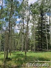 Lot 4-6 8th St, Jasper, CO 81132