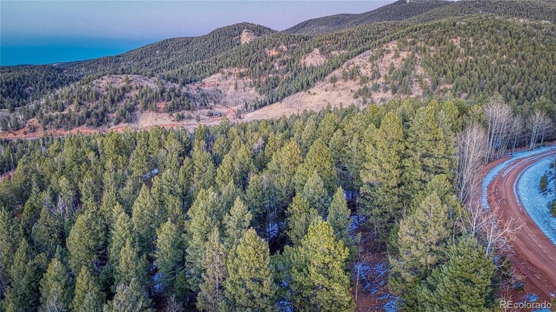 959 Calcite Dr, Divide, CO 80814