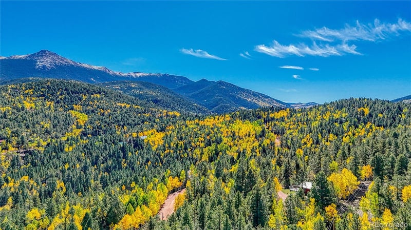 959 Calcite Dr, Divide, CO 80814