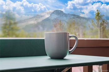 145 Forest Trl #5, Winter Park, CO 80482