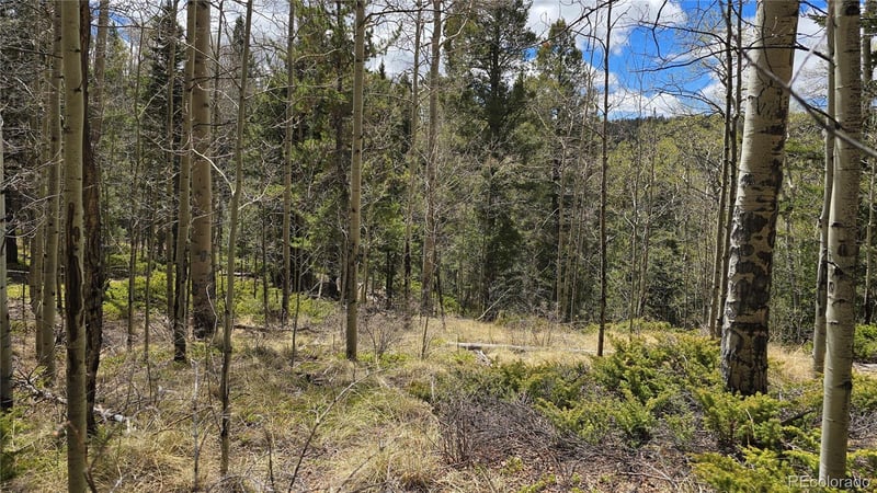 Lot 5853 Slegers Rd Lot 5853, Fort Garland, CO 81133