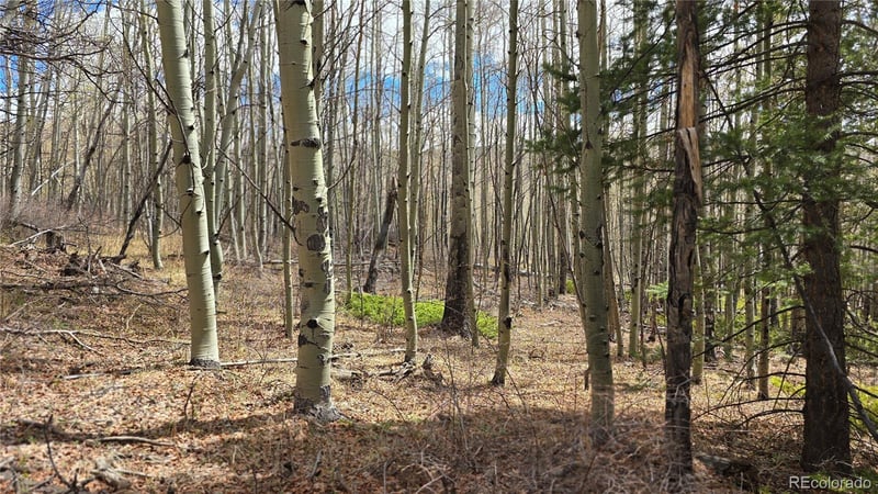 Lot 5853 Slegers Rd Lot 5853, Fort Garland, CO 81133