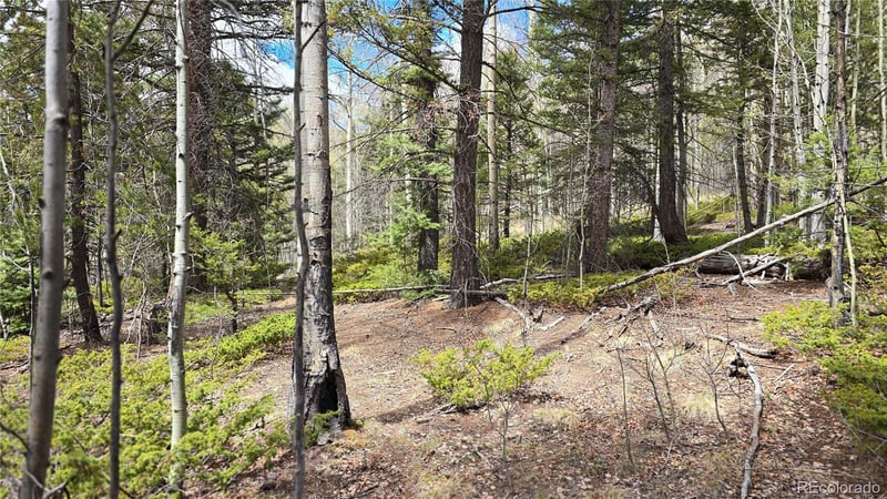Lot 5853 Slegers Rd Lot 5853, Fort Garland, CO 81133