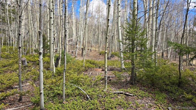 Lot 5853 Slegers Rd Lot 5853, Fort Garland, CO 81133