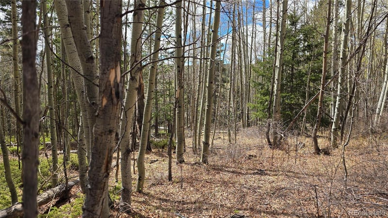 Lot 5853 Slegers Rd Lot 5853, Fort Garland, CO 81133