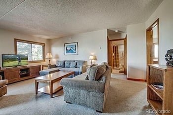 317 W La Bonte St #107, Dillon, CO 80435