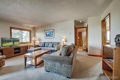 317 La Bonte St #107, Dillon, CO 80435