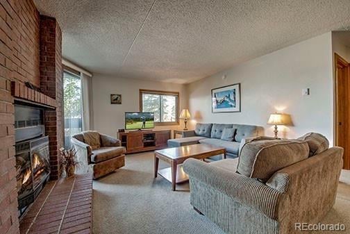 317 La Bonte St #107, Dillon, CO 80435