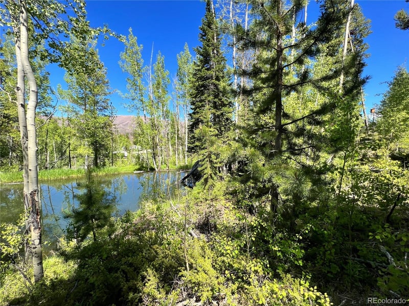 134 Mad Moose Ln, Grand Lake, CO 80447