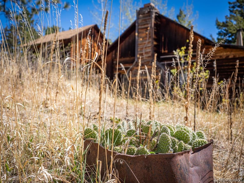 329 Snow Top Dr, Drake, CO 80515