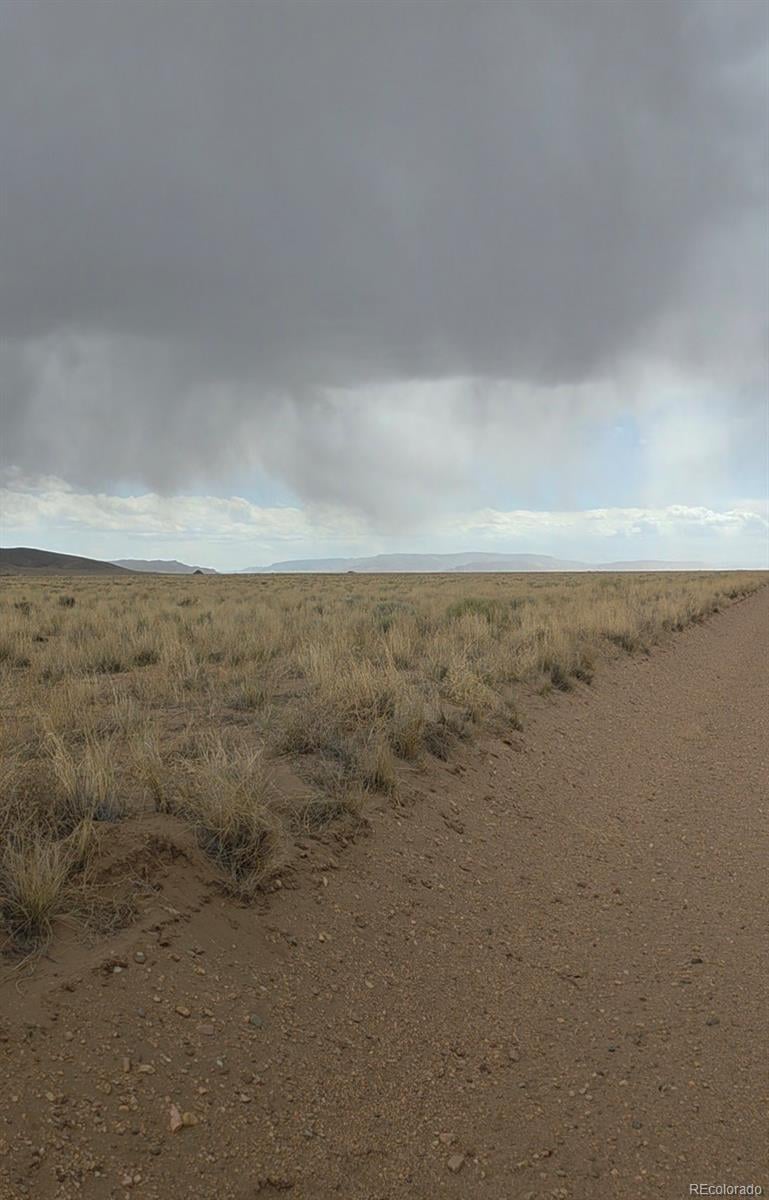 Lot 1 Brown Rd, Blanca, CO 81123