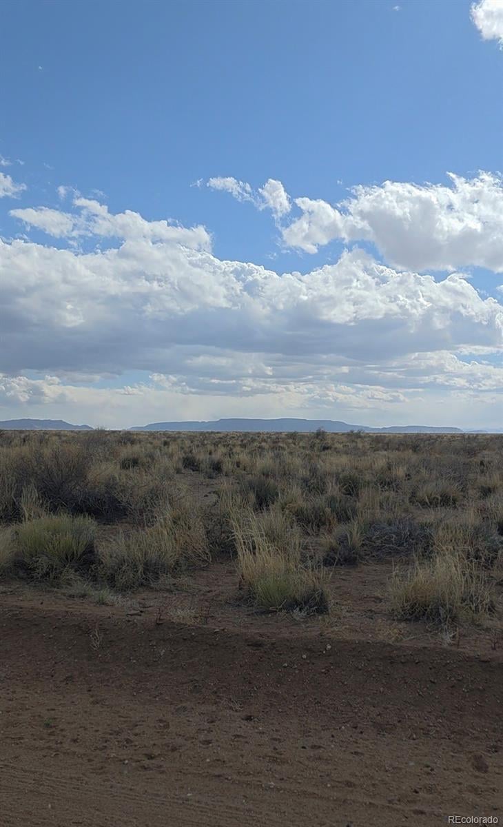 Lot 1 Durango Ave, Blanca, CO 81123