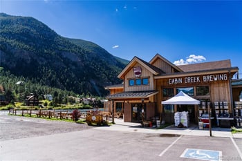 2121 Hummingbird Way #204, Georgetown, CO 80444