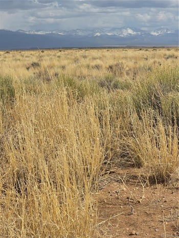 Lot 17 E Denver Rd, Blanca, CO 81123