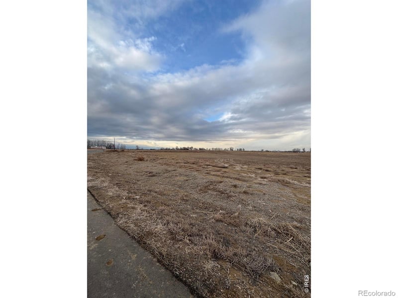 15124 Mattana Dr, Mead, CO 80542