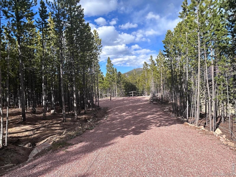 2596 Ottawa Way, Red Feather Lakes, CO 80545