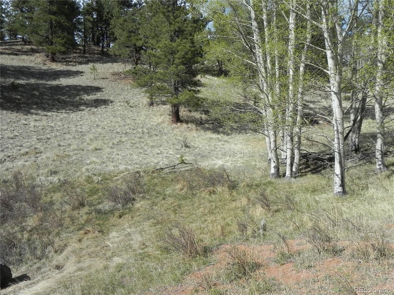1699 Monarch Dr Lot 165, Cripple Creek, CO 80813