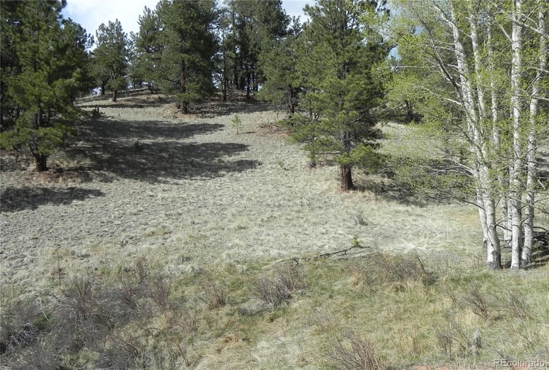 1699 Monarch Dr Lot 165, Cripple Creek, CO 80813