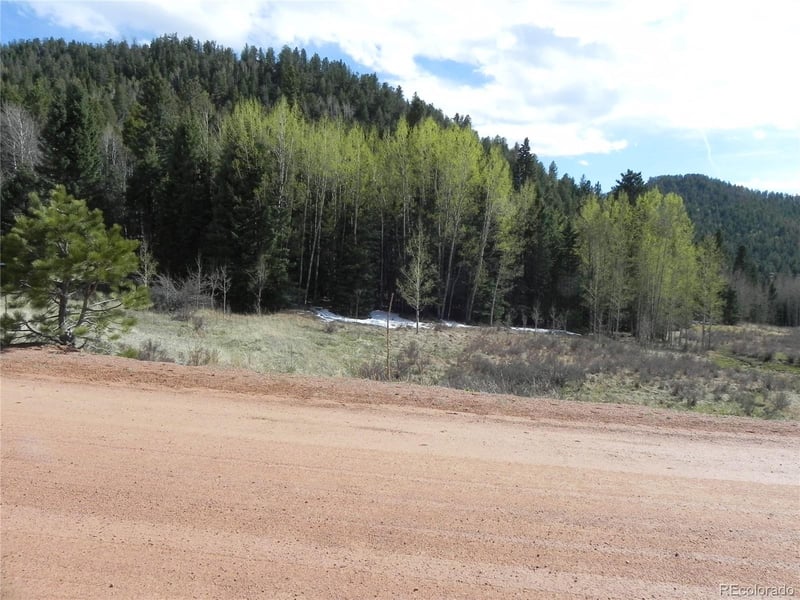 1699 Monarch Dr Lot 165, Cripple Creek, CO 80813
